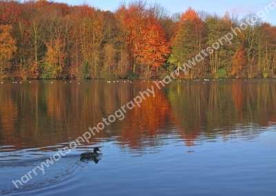 New Miller Dam
Nr Wakefield