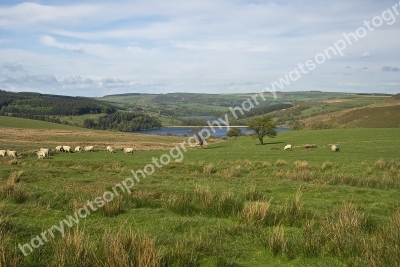 Derbyshire Peak District