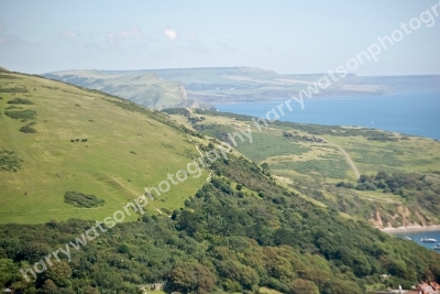 DSC0377