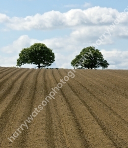 Walton 
Nr Wakefield