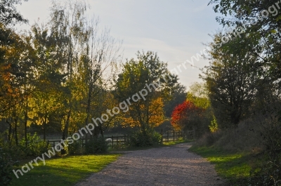 Autumn in Kent