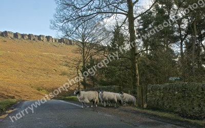 Stanedge 
Derbyshire Peak District