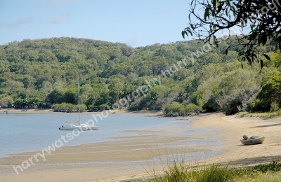 St Agnes Beech 
Queensland
