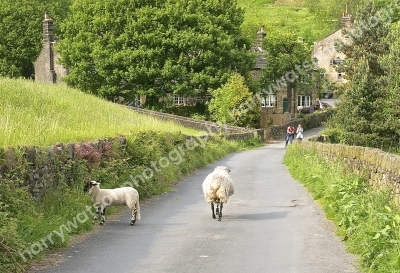 Tunnel End
Marsden
West Yorkshire