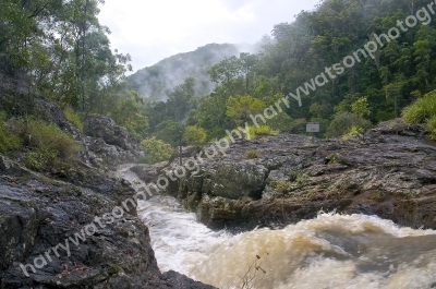 Kondilla National Park
Queensland 
Australia